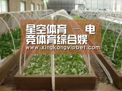 环境展示五
